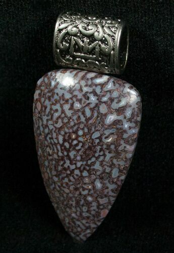 Purple Agatized Dinosaur Bone Pendant #5983